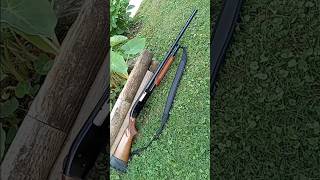 Mossberg Model 500C 20 Gauge mossberg pumpaction [upl. by Curtis588]