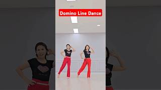 Domino Line Dance  Improver  국금선라인댄스 초중급라인댄스 linedance 성남위례라인댄스 dance 코리아노블라인댄스협회 댄스 [upl. by Yllen]