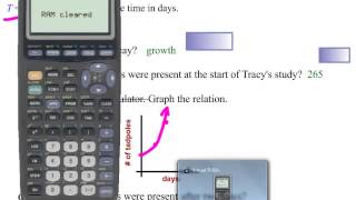 The Exponential Growth and Decay Formula [upl. by Reinhard]