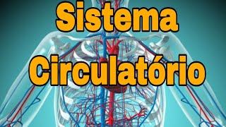 Sistema CIRCULATÓRIO anatomia e funcionamento coração veias artérias e doenças relacionadas [upl. by Landers]