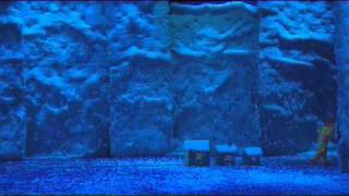 Slavas SnowShow version courte [upl. by Mccready641]