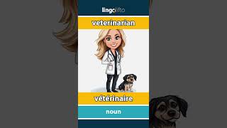 🇬🇧🇫🇷 veterinarian  vétérinaire  learn English  apprenons langlais [upl. by Shantee]