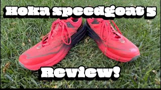 Hoka SpeedGoat 5 Men’s Running Shoe Review [upl. by Beare]