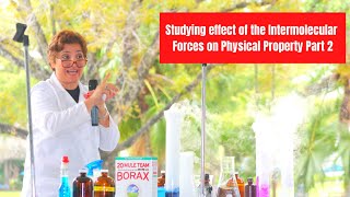 Studying effect of the Intermolecular Forces on Physical Property Part 2 [upl. by Bollen107]