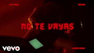 Prince Royce  No Te Vayas Official Lyric Video [upl. by Sholom]