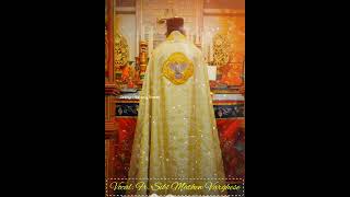 holymass  Fr Sibi Mathew Varghese [upl. by Doria]