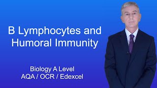 A Level Biology Revision quotB Lymphocytes and Humoral Immunityquot [upl. by Patman]