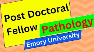 Post Doctoral Fellow Pathology Emory University Atlanta GA [upl. by Ecidnarb]