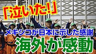 【海外の反応】感動！！「泣いた！」メキシコ人が日本に示した感謝の印に海外が感動【海外の反応Lab】 [upl. by Scriven]