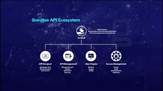 Gravitee API Platform Overview [upl. by Acirre]