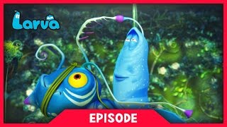 LARVA  LARVATAR  AVATAR LARVA  2017 Cartoon Movie  Cartoons  Comics  라바  LARVA Official [upl. by Iborian]