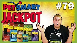 Dumpster Diving Petsmart JACKPOT Night 79 [upl. by Nirol]