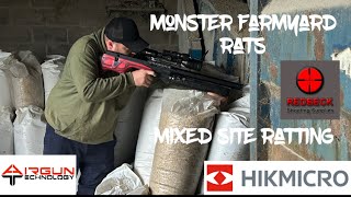 Monster farm yard rats Gonna need a bigger gun [upl. by Moise997]