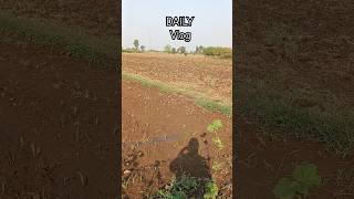 Dailyvlog video love diwali shortvideo shorts trending vlog vlogs love youtube funny yt [upl. by Emmye]