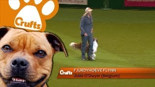 Heelwork to Music  Freestyle International Winner  Crufts 2013 [upl. by Blakelee]