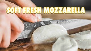 30 Minute Homemade Fresh Mozzarella Cheese [upl. by Drannek772]