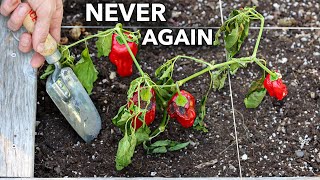 Here’s Why You Should NEVER Plant Peppers in Your Garden [upl. by Dutchman]