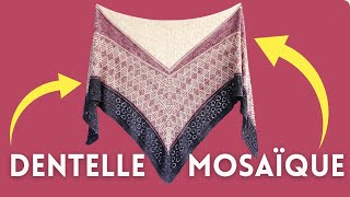 🌸 Patron de châle dentelle et mosaïque au tricot  Tesselis [upl. by Parsons145]