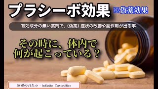 【プラシーボ効果】その時、体内で何が起こっているのか？プラシーボ効果偽薬効果プラセボオピオイド [upl. by Ammeg]