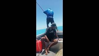 dugong hunting broome 🤣 [upl. by Alroy422]