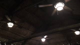 54” Hunter Key Biscayne Ceiling Fans Music Edition [upl. by Sregor972]