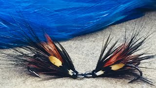 Tying a Black Shrimp Salmon Fly [upl. by Ecirtahs]