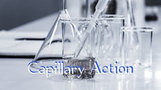 Capillary Action Simply Explained Science and Arts [upl. by Enilraep498]