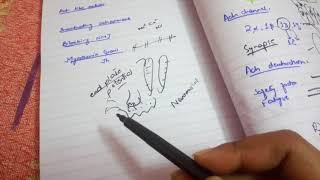 NEUROMUSCULAR JUNCTion and excitation contraction coupling ch 7 guyton fast and easy review part 2 [upl. by Cristina]