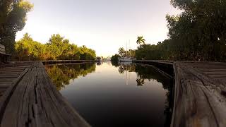 Tropical Mangrove ASMR Ambience Relaxation Sounds  Solace Twilight at Manatee Cove [upl. by Eemak]