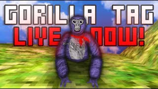 🔴Gorilla Tag with you Live code🔴 [upl. by Watts]