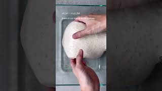 How to Bake Perfect Sourdough Bread at Home StepbyStep Guide 🍞 [upl. by Nyladgam]