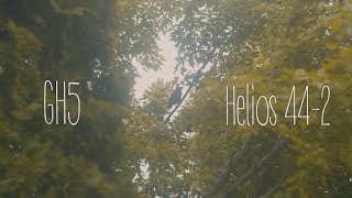 GH5 Vintage  Helios 442 58mm  Metabones Speedbooster [upl. by Feltie]