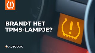 Wat te doen als het TPMSlampje brandt  AUTODOC tips [upl. by Dusty]