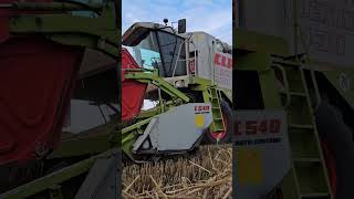 Lexion Mähdrescher 430 Power bei Weizenernte🌾🌞 [upl. by Aramit]