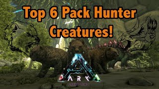 Top 6 Pack Hunting Creatures In Ark Survival Evolved [upl. by Mccurdy]