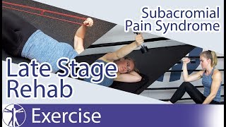 Subacromial Pain Syndrome SAPS  Late Phase Eccentric Rehab [upl. by Repip]