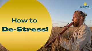 How To DeStress  Transformational session with Michaēl Bijker [upl. by Nomad743]