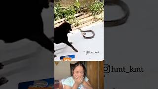 Dudh ya jahar😂 meme funny reactionvideo comedy trending funnymemes reactionvideo reaction [upl. by Crescen]