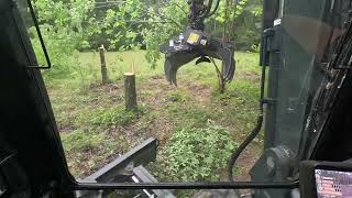 Using the Rotobec grapple saw to clear trees [upl. by Vine195]