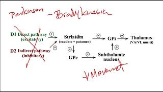 Basal ganglia Parkinson Huntington and Hemibalismus  USMLE Step 1  USMLE Ace [upl. by Idyh]