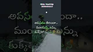 Telugu WhatsApp Status Telugu Dialogue Status Telugu WhatsApp Status Videos  Emotionl Status [upl. by Mcmullan]