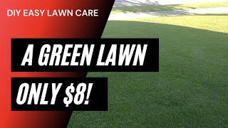 How to Get a Green Lawn Fast  8 For A Green Lawn [upl. by Aramoj]