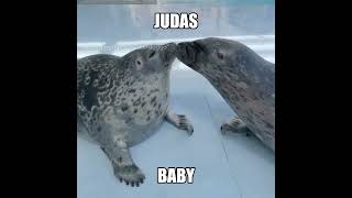 BUT IM STILL IN LOVE WITH JUDAS BABY seal [upl. by Cerell634]