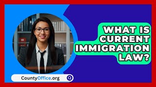 What Is Current Immigration Law  CountyOfficeorg [upl. by Idnac29]