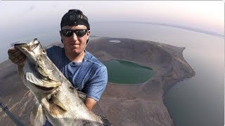 Fishing for GIANTS in a Remote DESERT Lake [upl. by Tudela158]