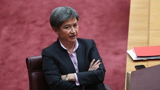 Penny Wong called for ‘restraint from Israel’ immediately after October 7 tragedy [upl. by Enel289]