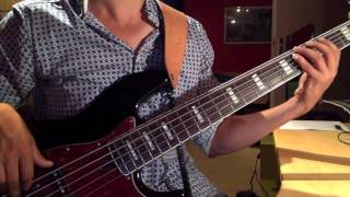 Beastie Boys  Fight For Your Right Bass Cover [upl. by Sinclare]