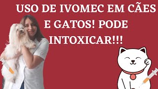 Ivermectina ou Ivomec em cães e gatos 7 erros ao usar esse medicamento CUIDADO [upl. by Buffo]