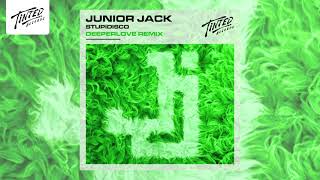 Junior Jack  Stupidisco Deeperlove Remix [upl. by Nosylla]