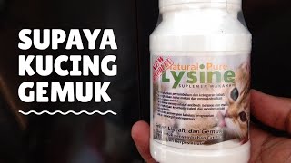 Mau Kucing Sehat Lincah dan Gemuk Cobain Lysine Kucing dari Im Organic  IMO [upl. by Padriac]